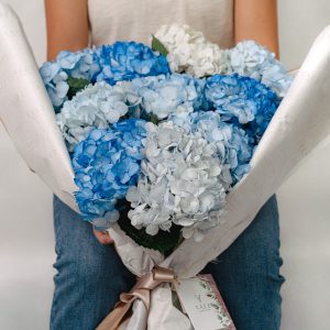 BOUQUET HORTENSIAS X5