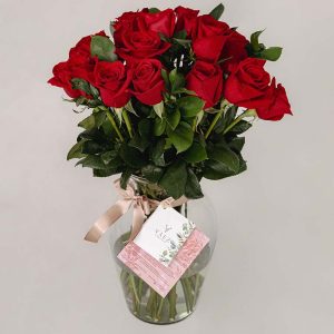 JARRON GUADALUPE X48