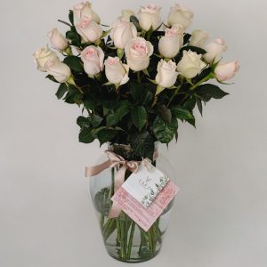 JARRON GUADALUPE X24