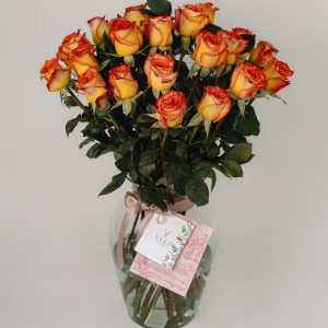 JARRON GUADALUPE X36