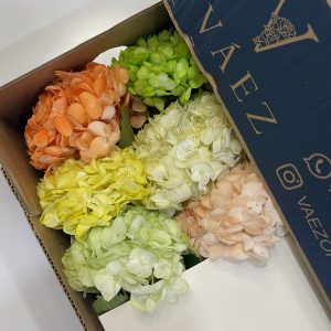 CAJA MADRID x4